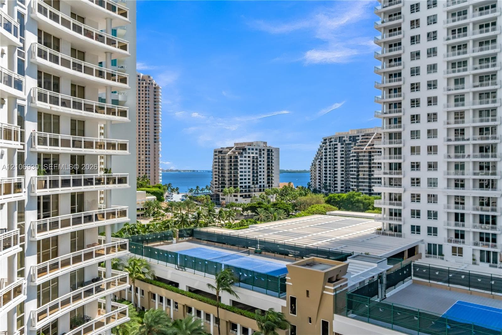 Carbonell · #1103 in Miami - Photo 47