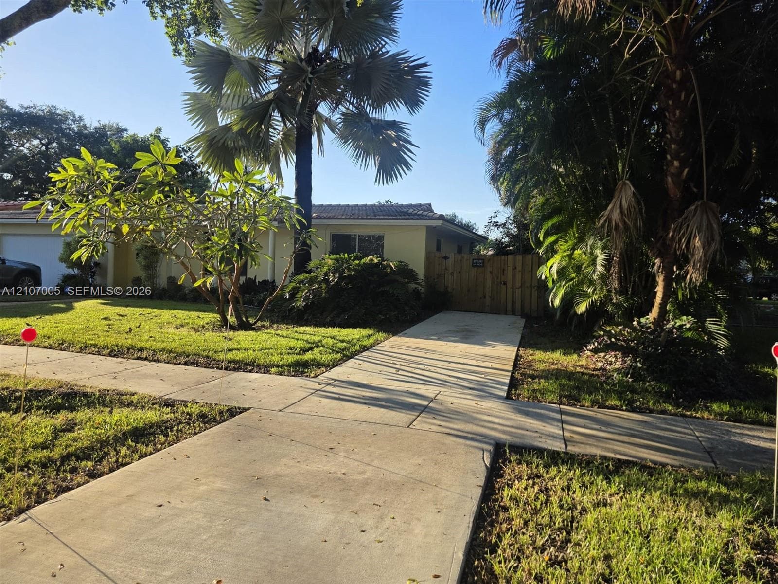 Exterior view featuring a concrete walkway, tile roofing, wood privacy fencing, and mature palm landscaping