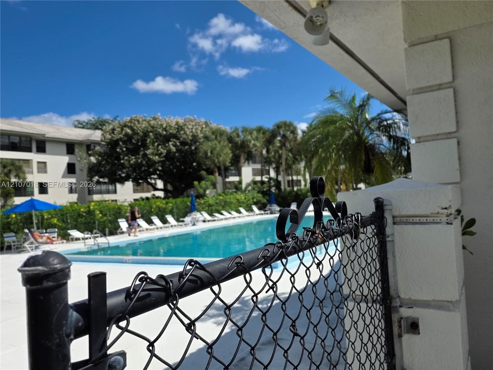 Swimming pool with concrete decking, secured by a metal chain-link perimeter fence and surrounded by mature palm trees and established landscaping