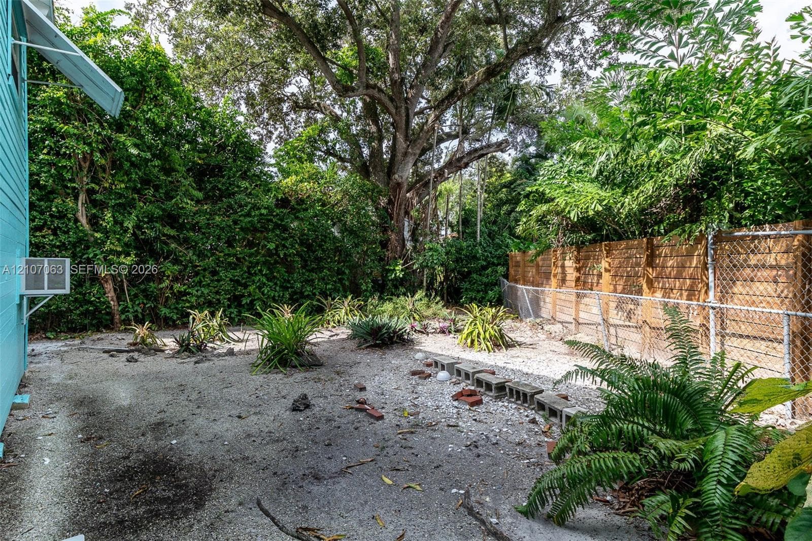 Private backyard featuring mature trees, diverse tropical vegetation, horizontal wood-panel fencing, and chain-link perimeter screening