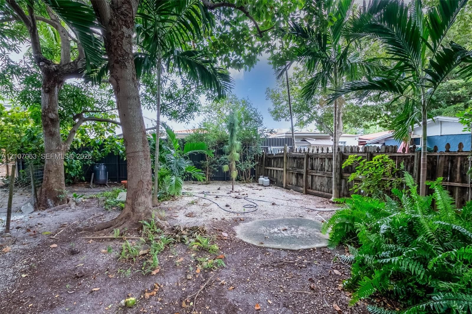 Rear grounds featuring mature palm trees, established foliage, a wood-slat privacy fence, and a circular concrete pad