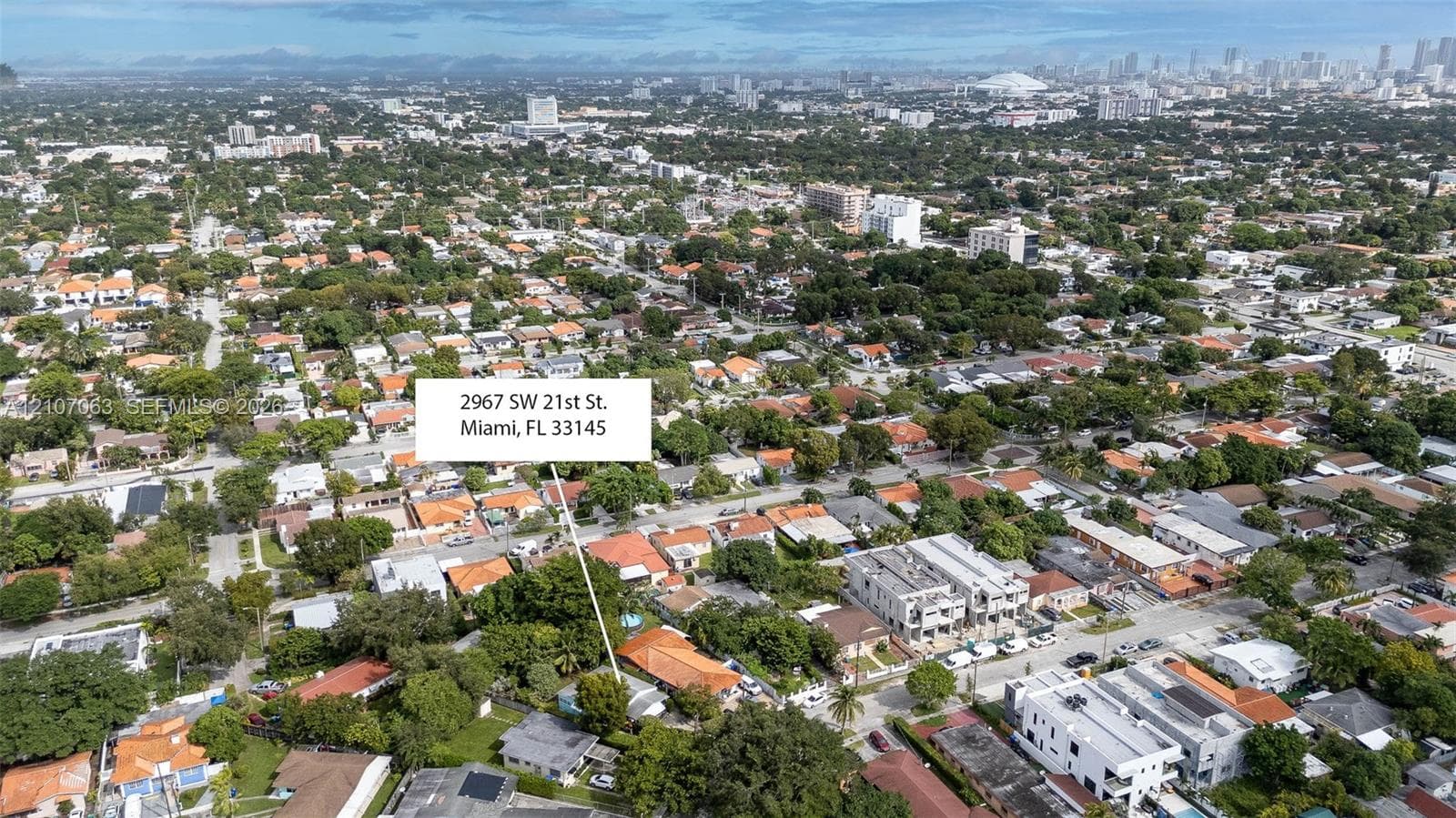 Aerial perspective of a residential property featuring a tile roof, mature canopy trees, and an urban cityscape backdrop