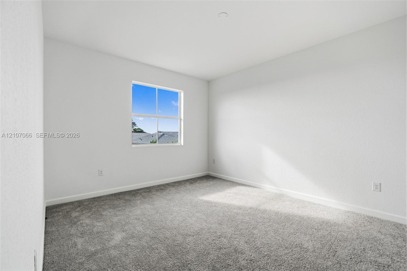 Neutral interior space featuring textured wall finishes, wall-to-wall carpeting, and a single-pane window with a grid pattern