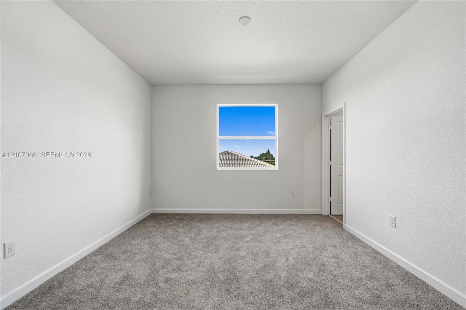 Interior space featuring neutral-toned carpeting, crisp white wall finishes, a single-hung window, and a door frame with a panel door