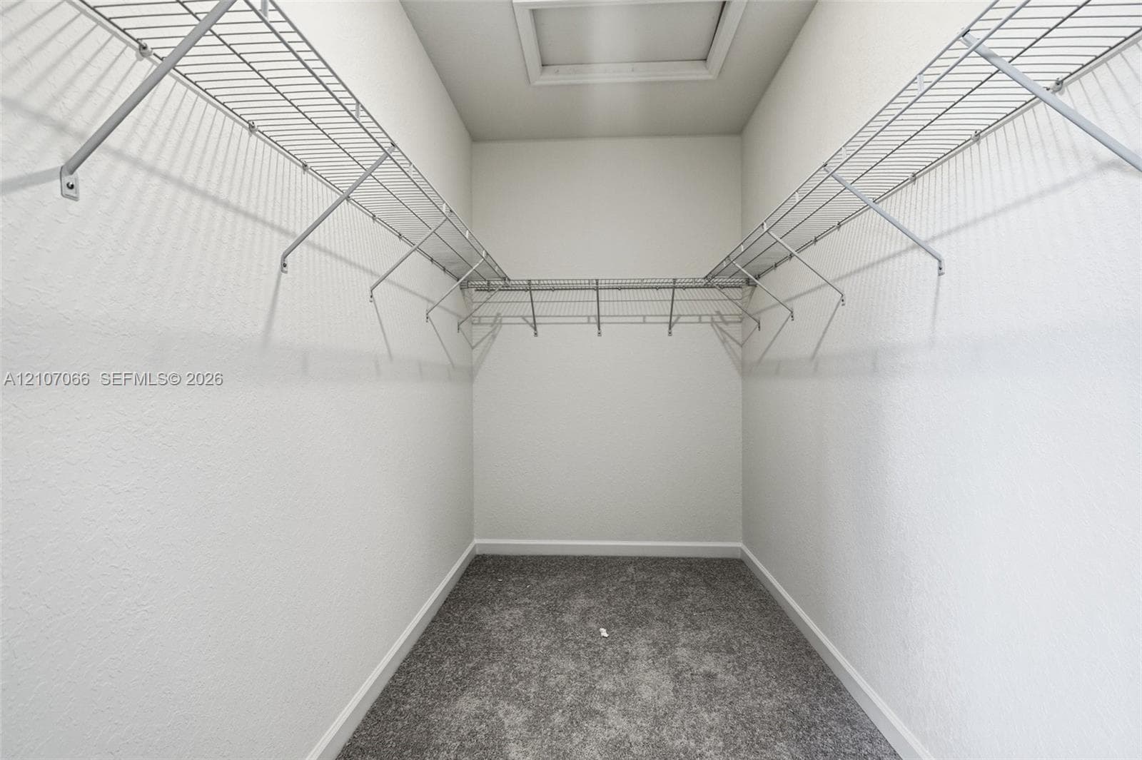Walk-in closet featuring grey carpeting, white walls, and multi-level white wire shelving