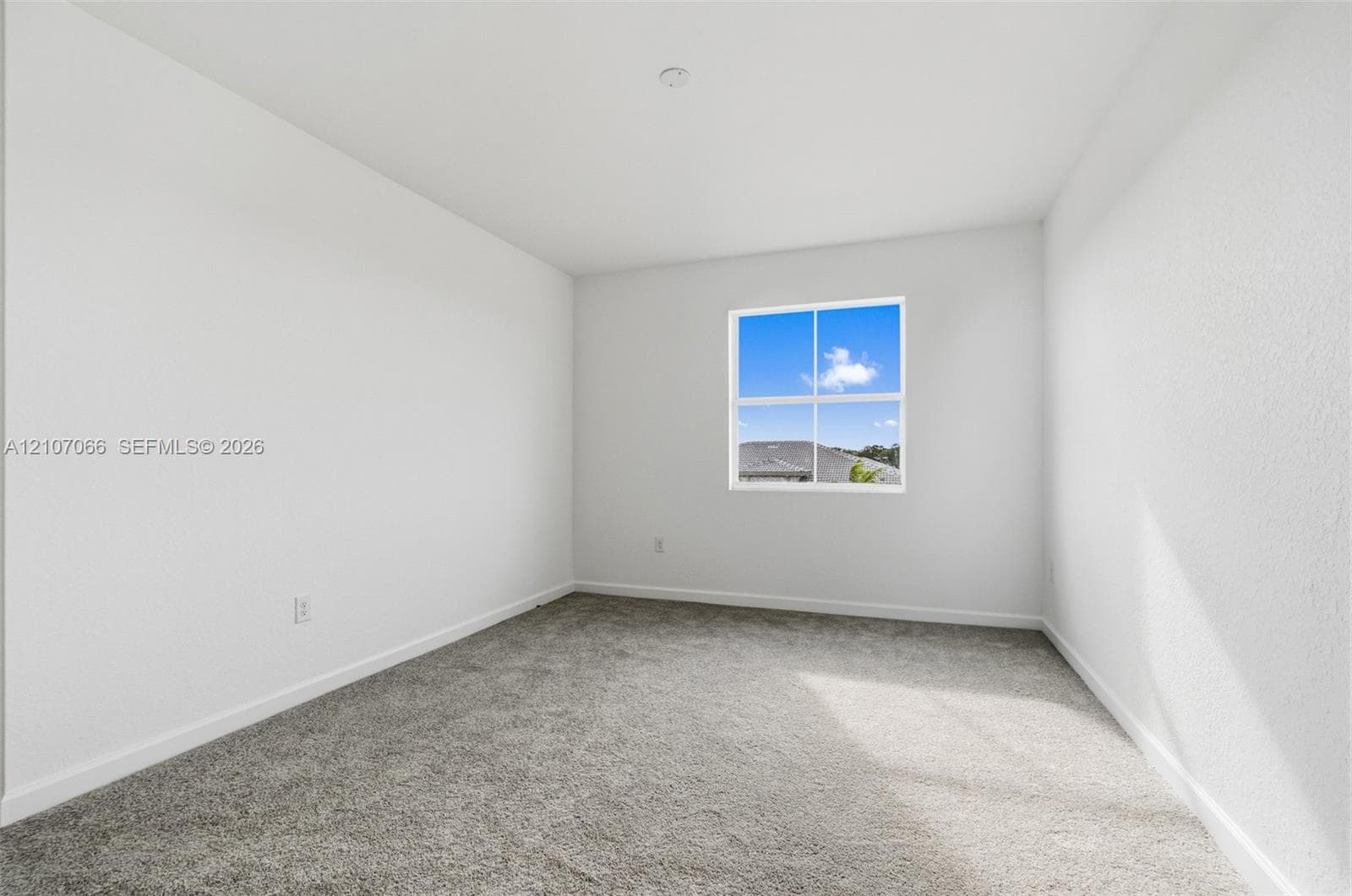 Neutral interior space featuring high-pile carpet flooring, smooth walls, and a single-pane window with a grid pattern