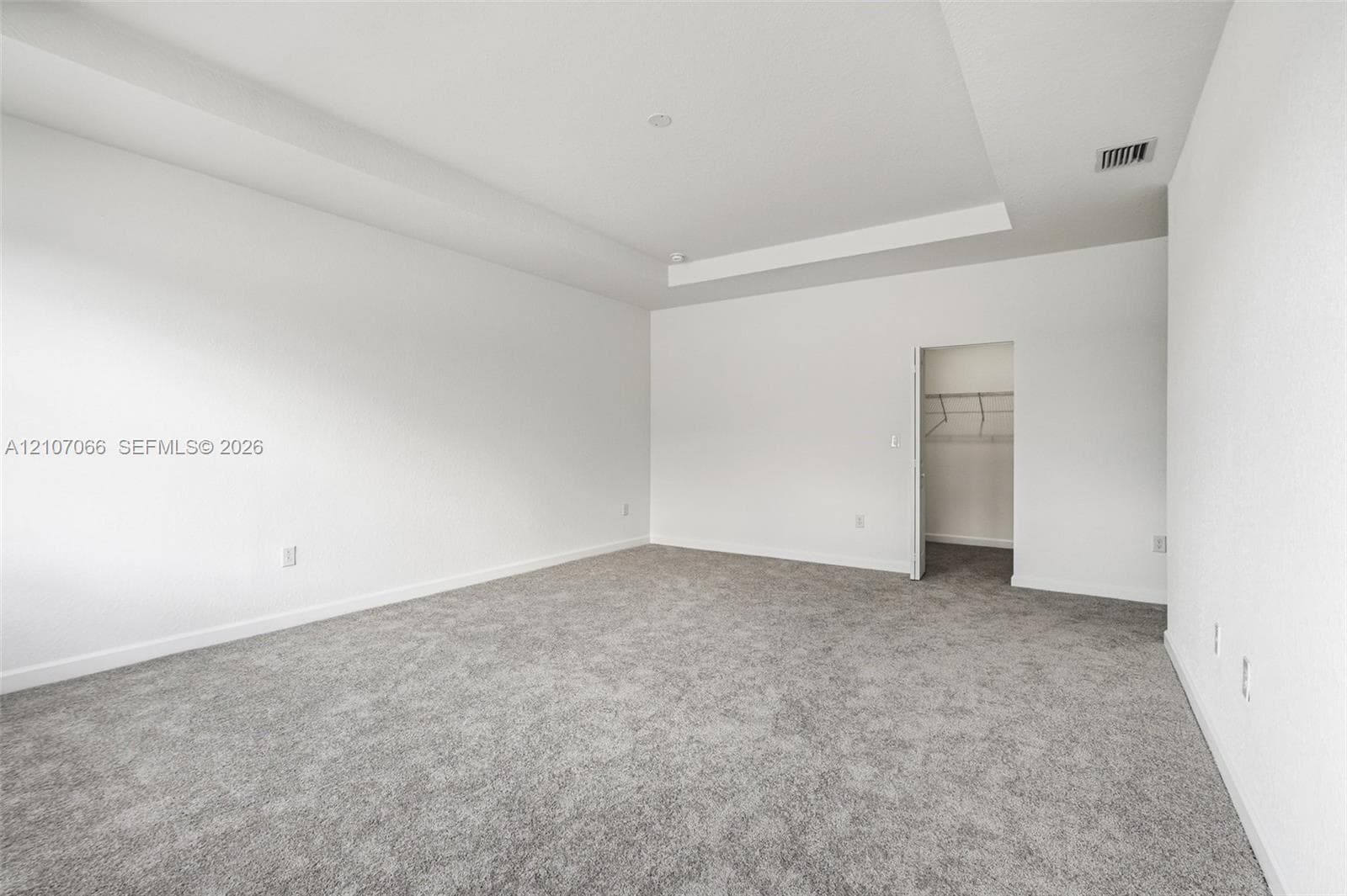 Interior space featuring a recessed tray ceiling, neutral wall-to-wall carpeting, and an open-door walk-in closet with built-in wire shelving