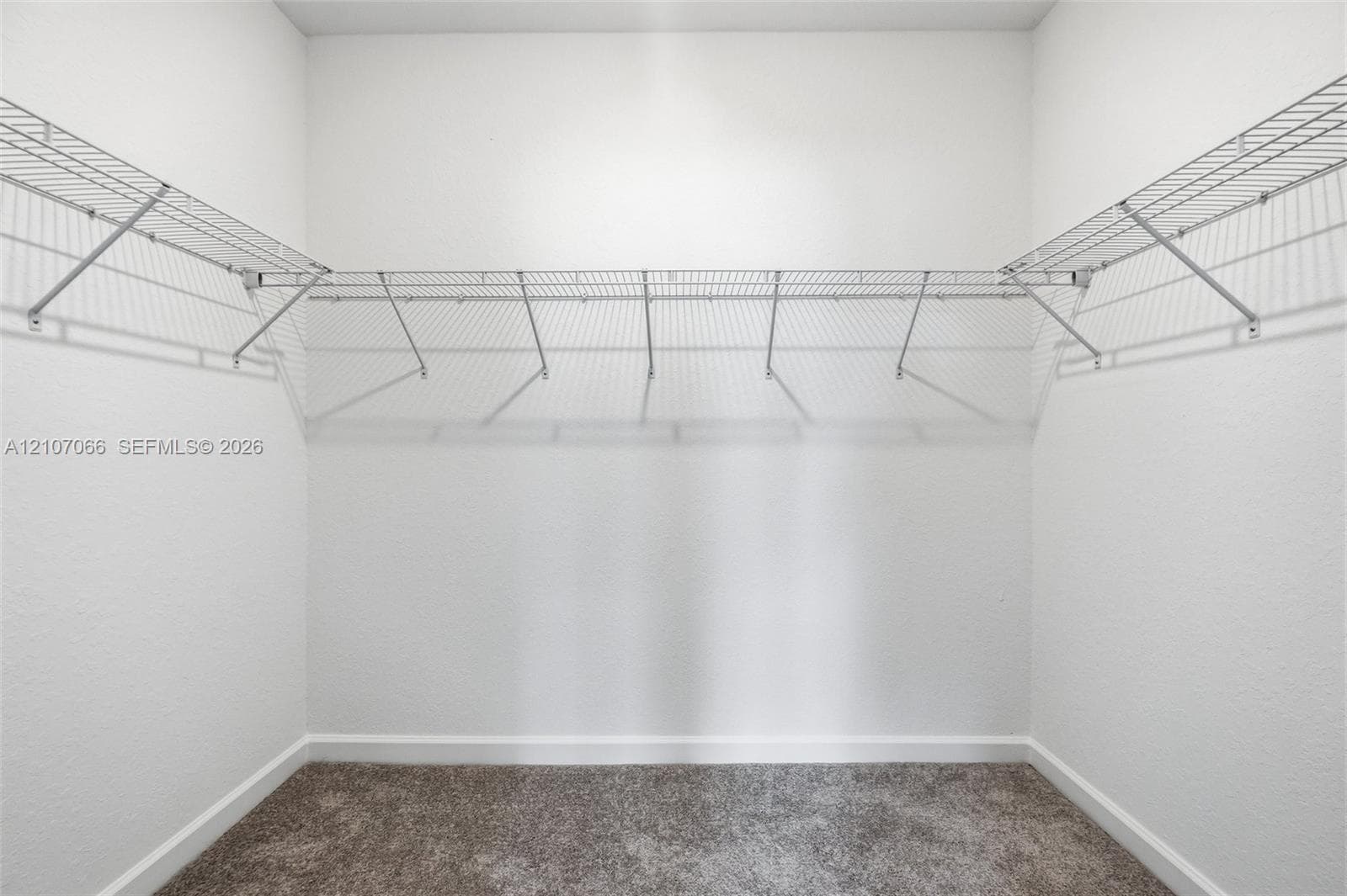Walk-in closet featuring neutral carpeting and tiered white wire shelving