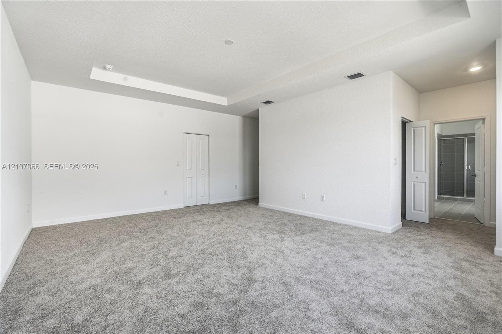 Interior space featuring a recessed tray ceiling, neutral wall-to-wall carpeting, and white panel doors