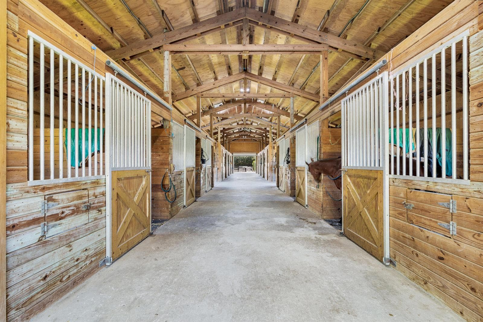Barn