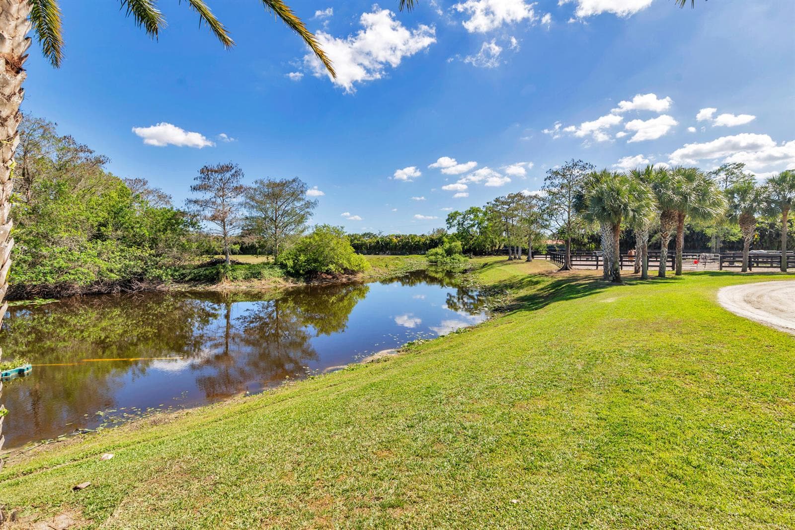 Pond View