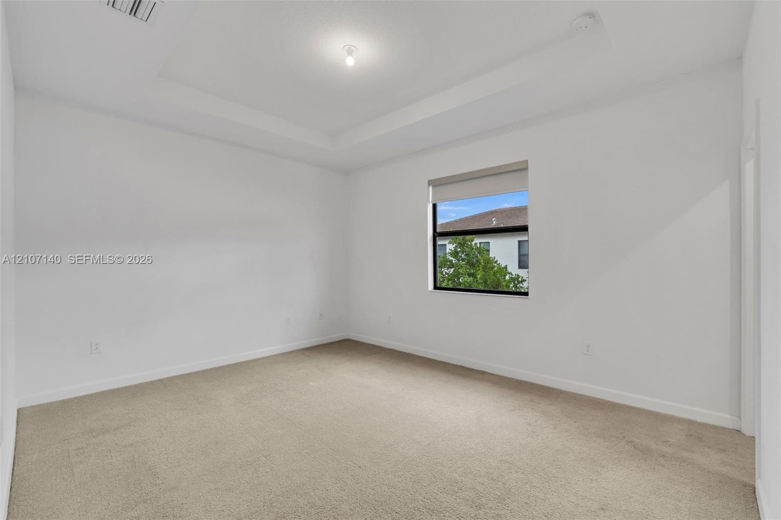 Neutral interior room featuring a tray ceiling, wall-to-wall carpeting, and a single window with a solar shade