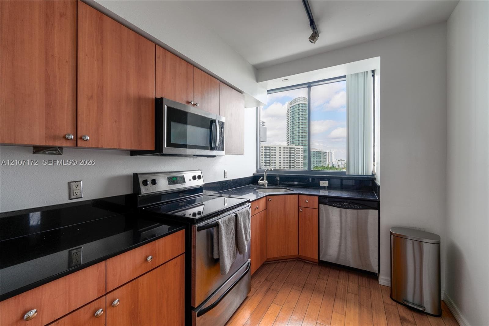 Kitchen featuring wood-finish cabinetry, dark stone-surface countertops, stainless steel appliances, wood-finish flooring, and a large window