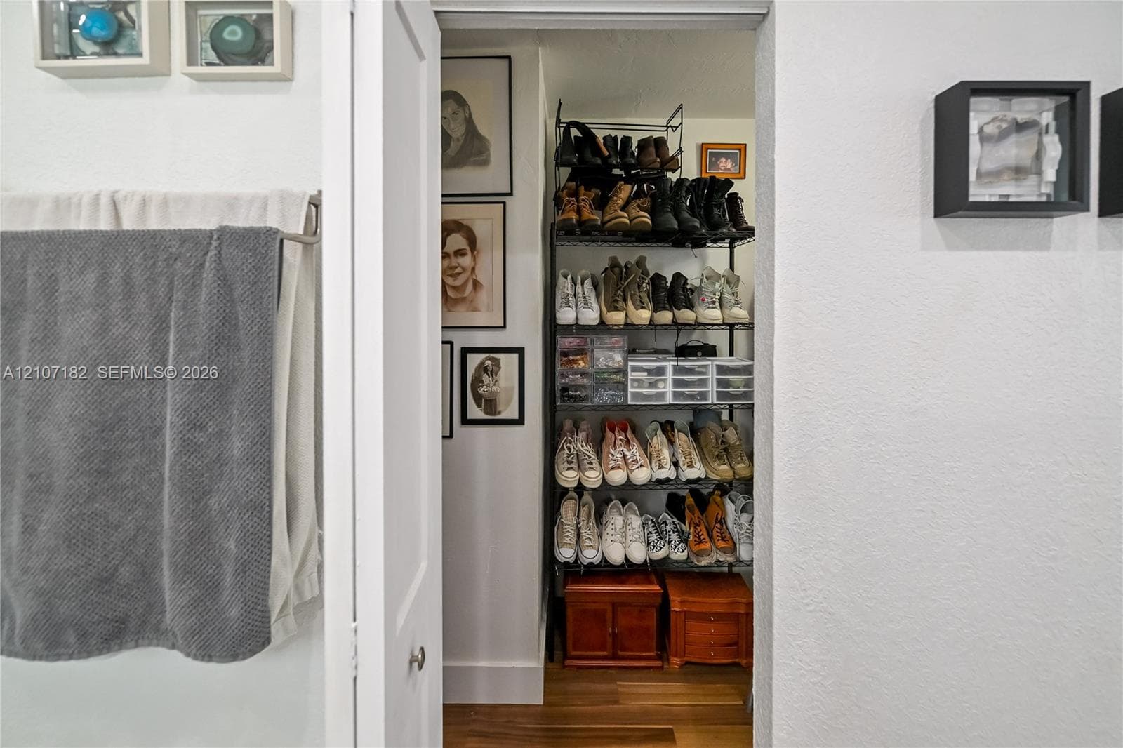 Storage space featuring wood-finish flooring and a white swing door