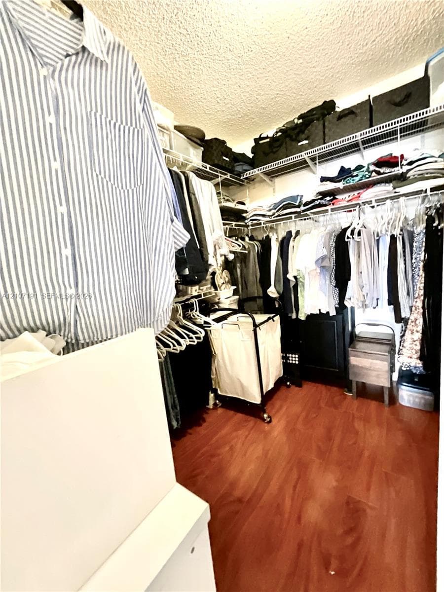 Walk-in closet featuring wood-finish flooring and tiered wire shelving