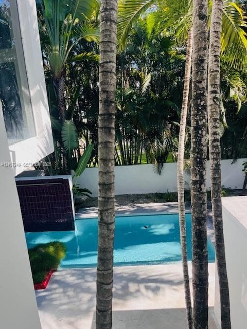 Private courtyard featuring a rectangular pool, a tiled water feature, concrete hardscaping, and mature palm trees enclosed by a solid perimeter wall