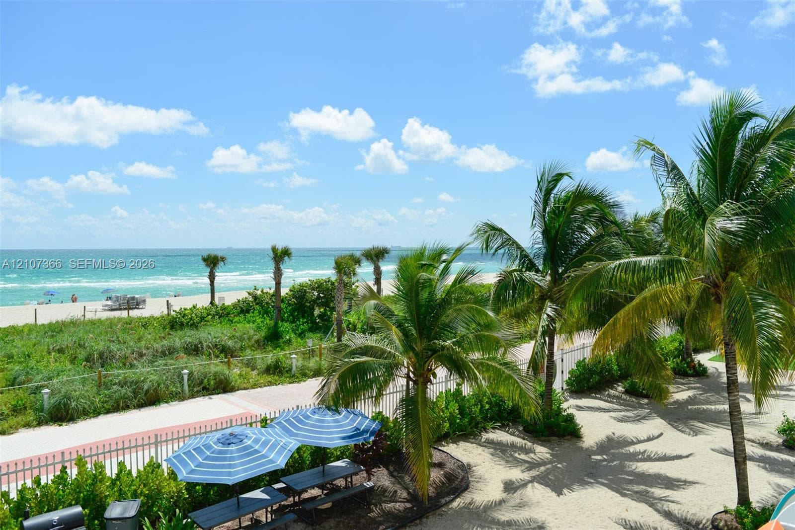 Oceanfront outdoor area featuring mature palm trees, sandy ground cover, and metal perimeter fencing