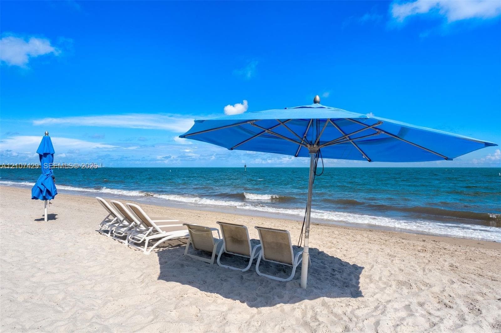 Oceanfront panorama featuring direct water access, a swimming pool, paved sundeck, and lush tropical landscaping