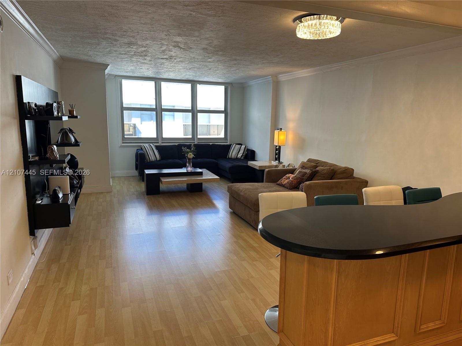 Open-concept space featuring light wood-finish flooring, a built-in black shelving unit, crown molding, a kitchen peninsula with a dark countertop, and a multi-pane window configuration