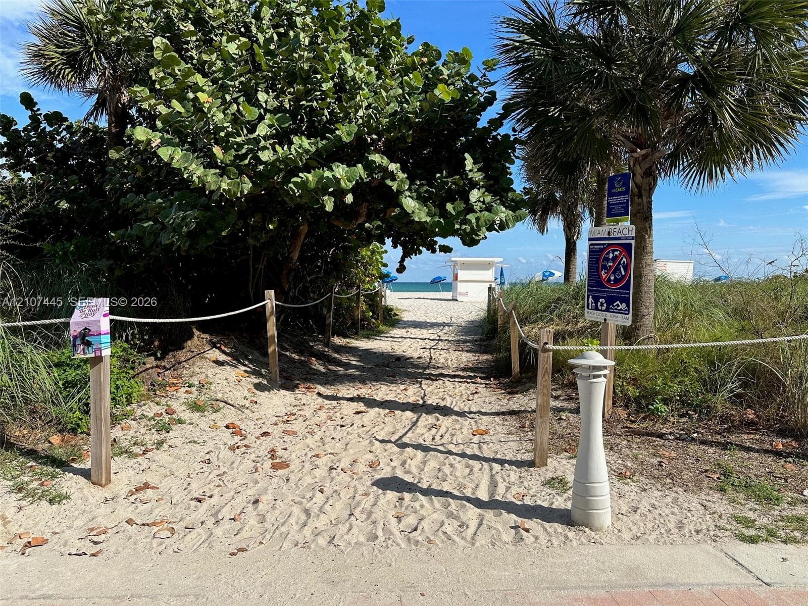 Sandy beach access path framed by native vegetation, mature palm trees, and post-and-rope fencing