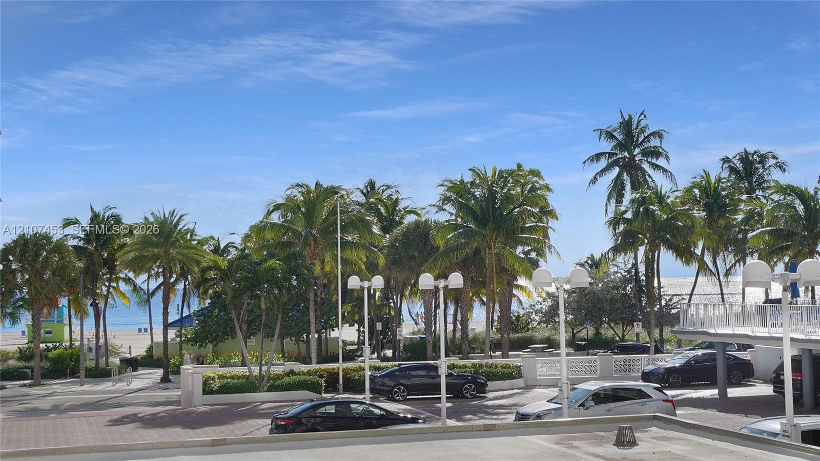 Coastal landscape featuring mature palm trees, white sand, and direct proximity to the oceanfront