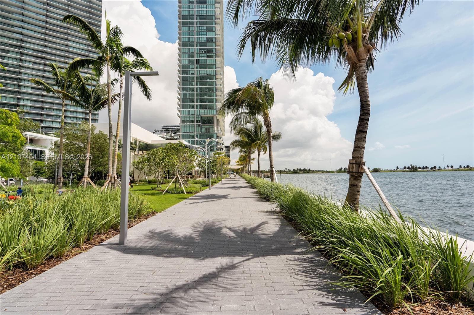 Paved waterfront pedestrian path featuring manicured landscaping, mature palm trees, and native grasses
