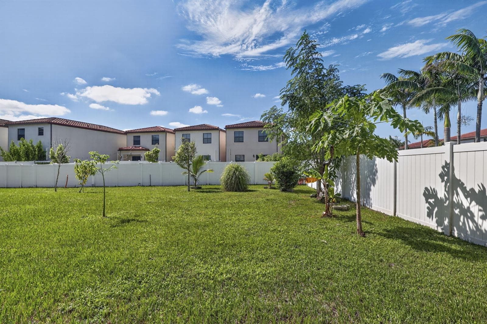 47-web-or-mls-BS1A4898