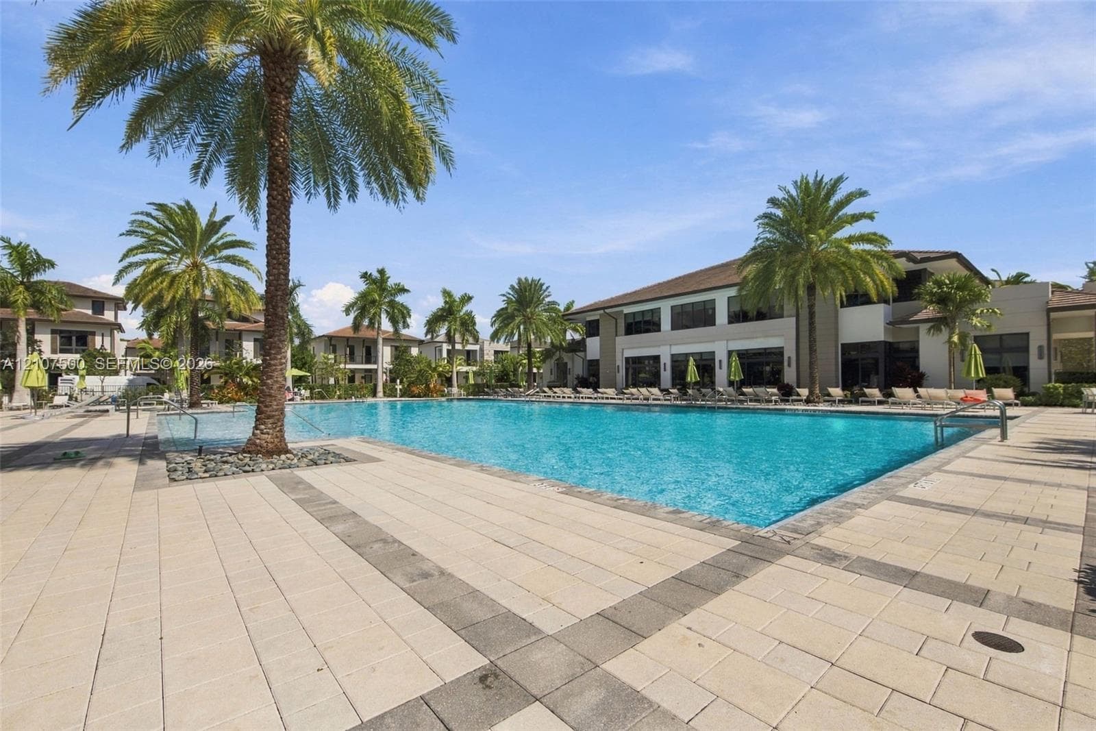 Swimming pool featuring a stone-paver deck, integrated palm trees, and multi-story architecture