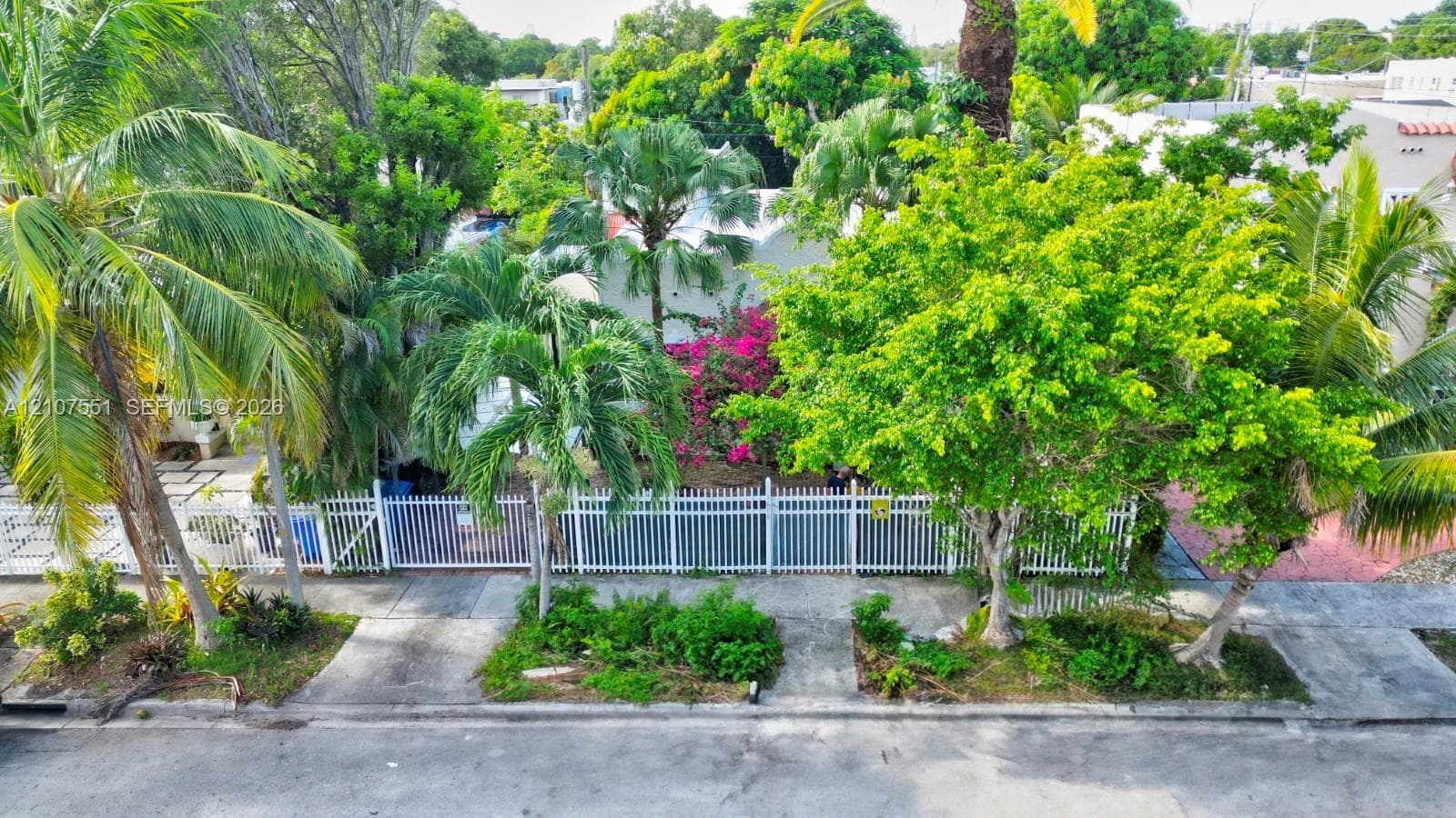Exterior grounds featuring a white metal perimeter fence, concrete driveway, mature tropical trees, and flowering vegetation