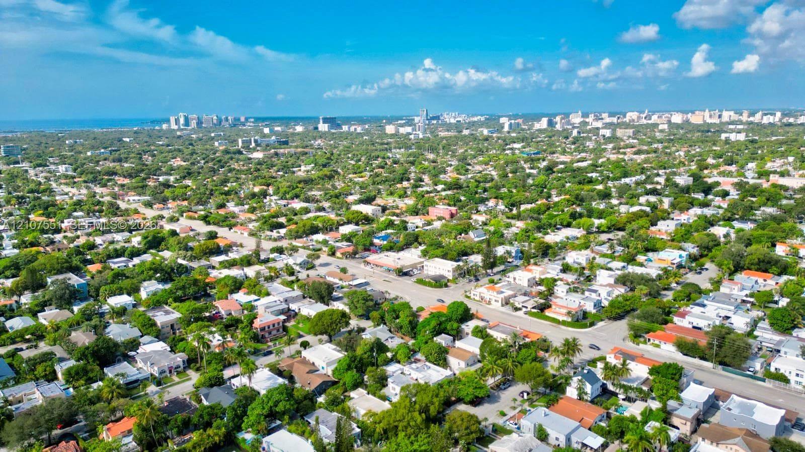Aerial perspective featuring dense canopy coverage, established residential street grids, and a coastal horizon