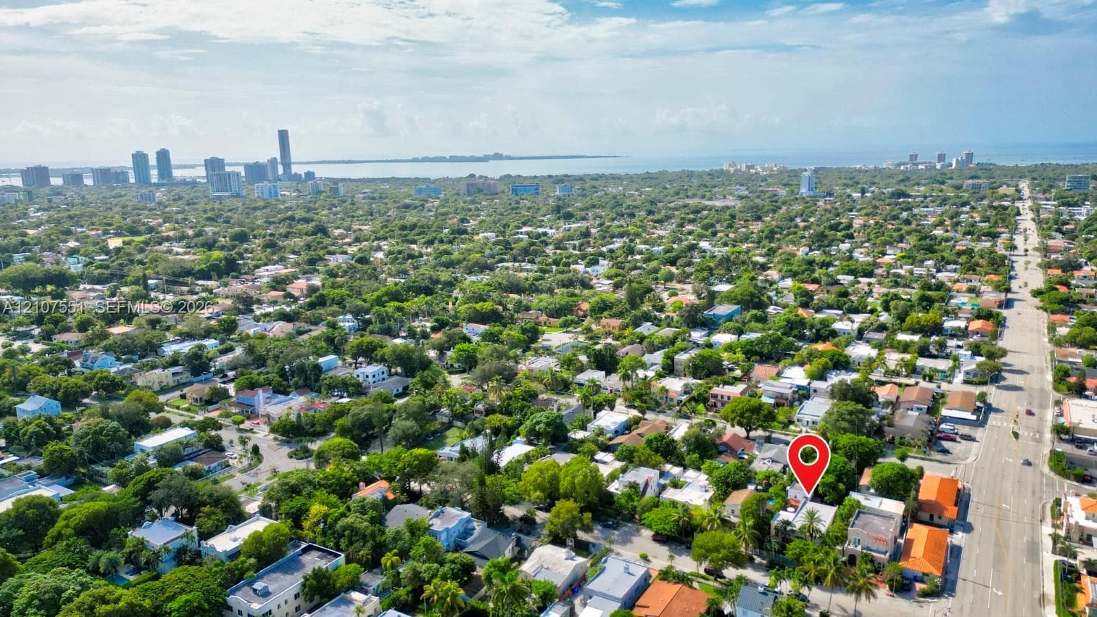 Aerial perspective featuring dense canopy coverage and proximity to the urban skyline and waterfront
