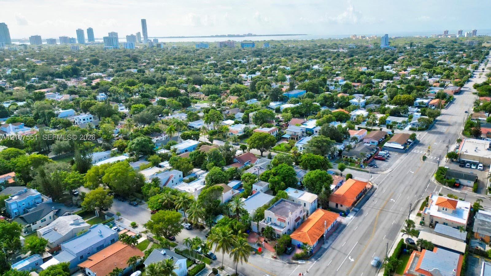 Aerial perspective featuring dense mature tree canopy, varied architectural styles, and proximity to urban skyline and coastal horizon