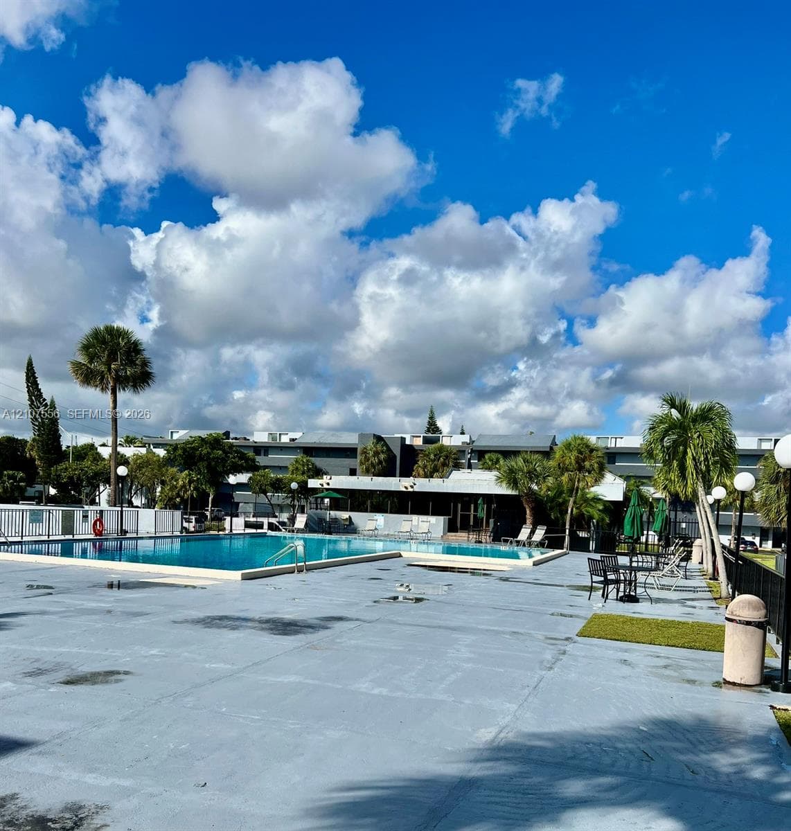Outdoor swimming pool featuring a concrete deck, perimeter fencing, and established palm trees