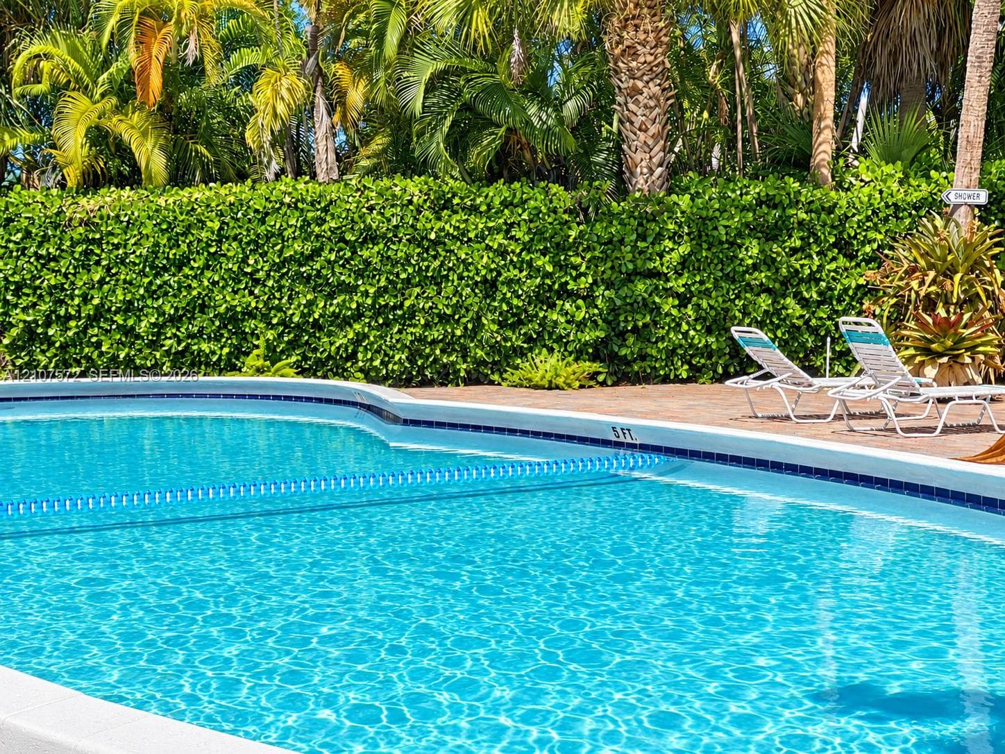 In-ground pool with tiled waterline and concrete pool deck, surrounded by a mature privacy hedge and tropical landscaping
