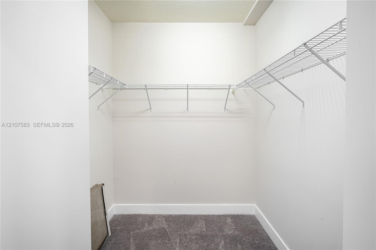 Storage area featuring grey carpeted flooring and white coated wire shelving
