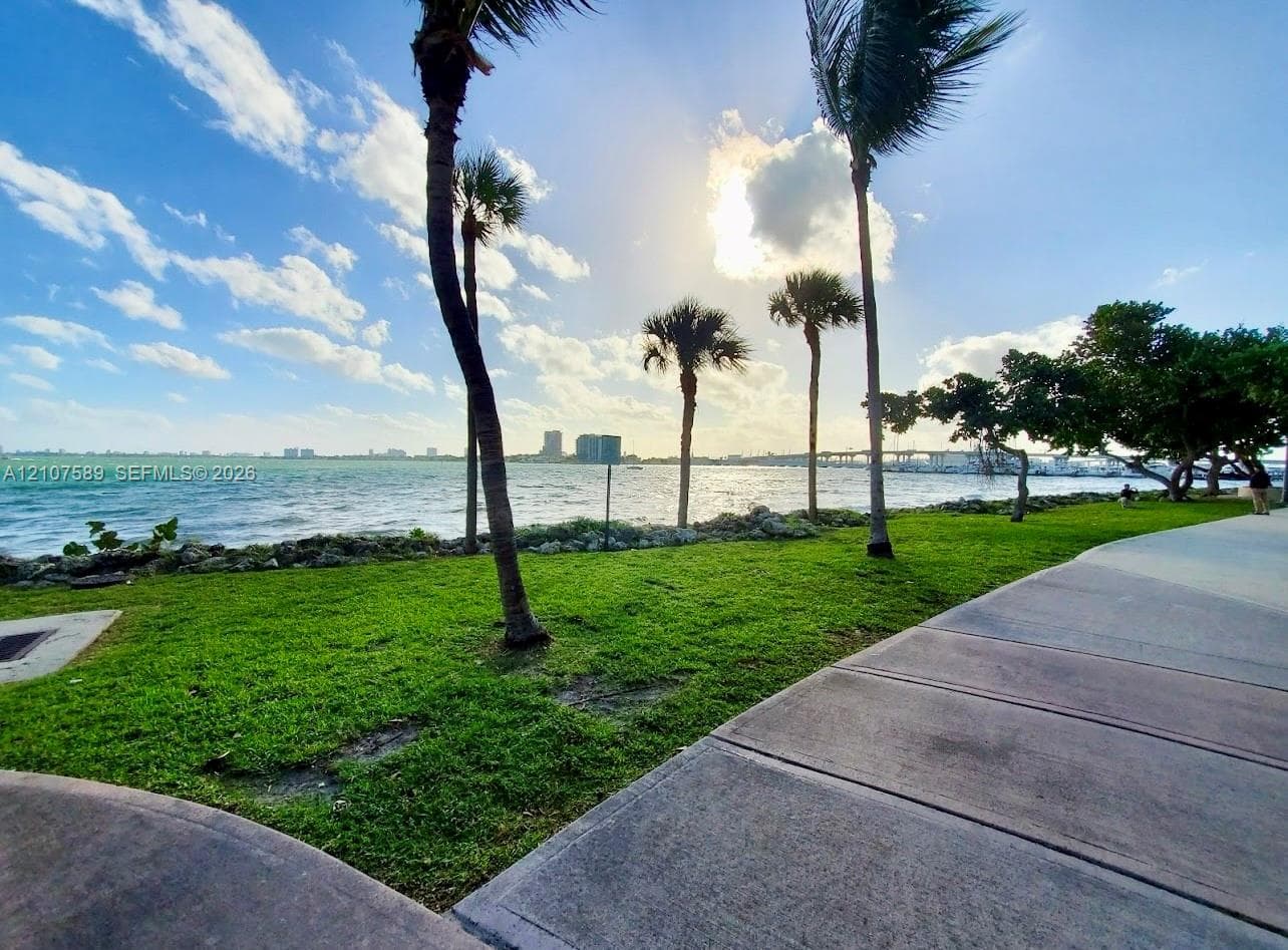 Waterfront grounds featuring mature palm trees, a concrete pedestrian path, and expansive lawn space