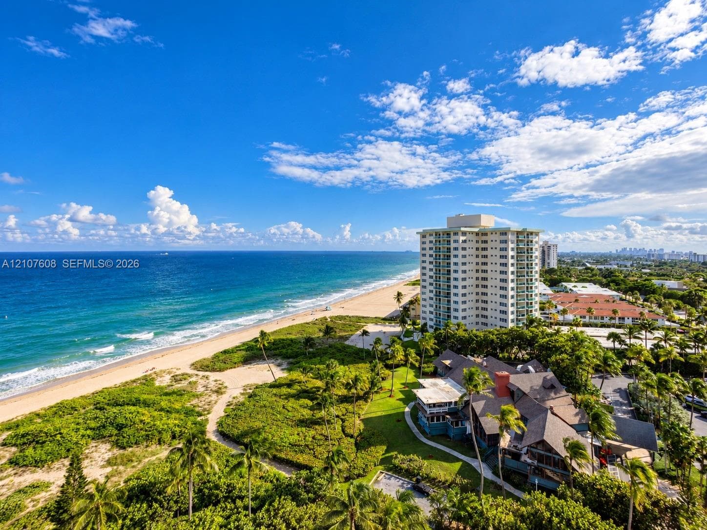 Aerial coastal landscape featuring direct oceanfront access, sandy beaches, mature palms, and native coastal vegetation