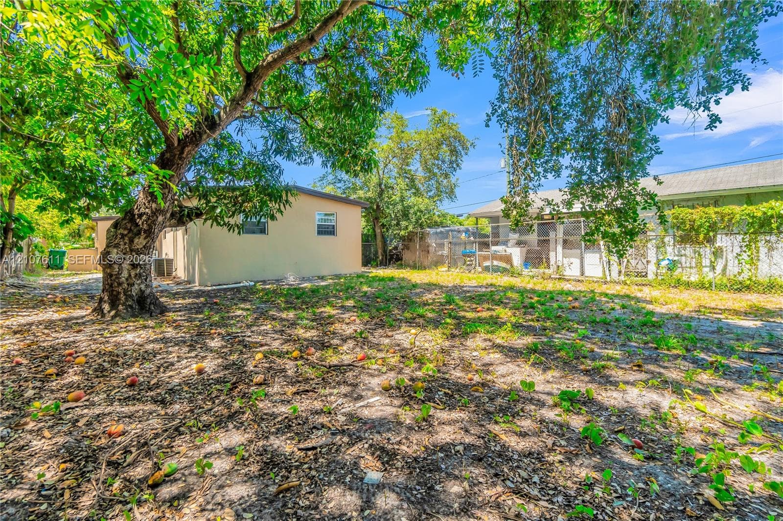 Outdoor space featuring a mature canopy tree, detached building, and chain-link perimeter fencing