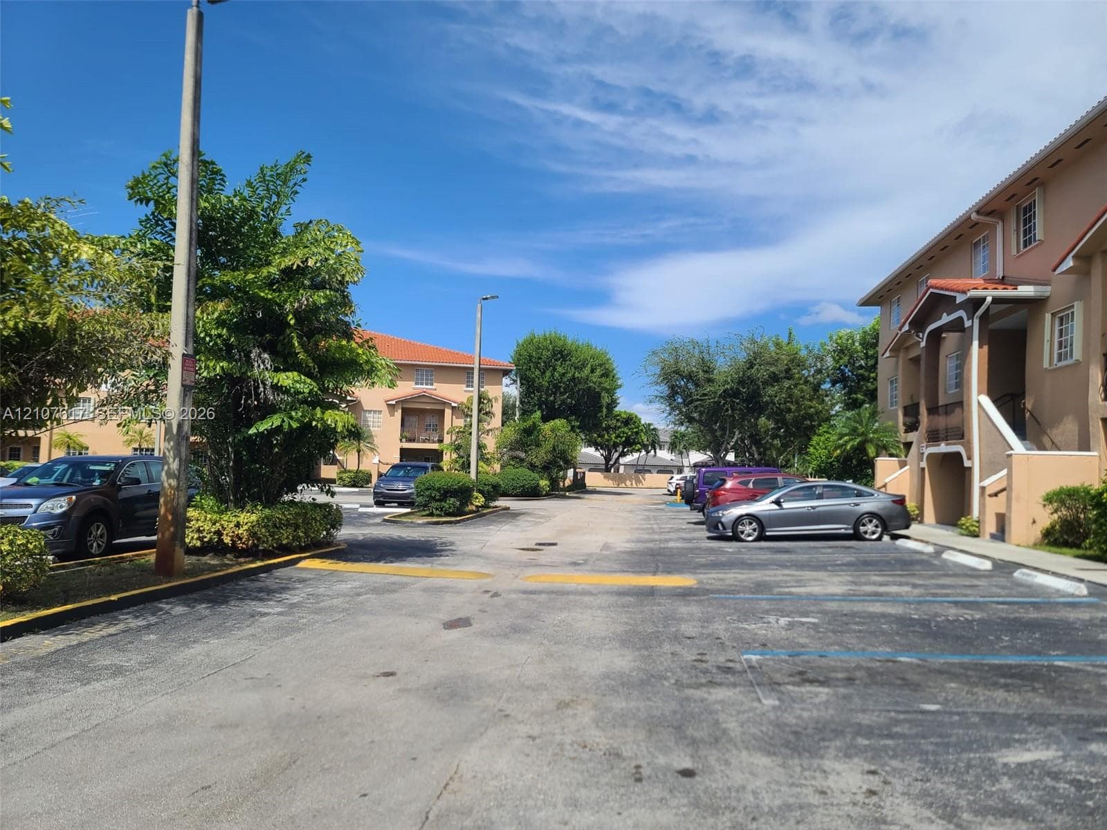 Asphalt-paved surface parking area featuring designated spots and mature landscaping
