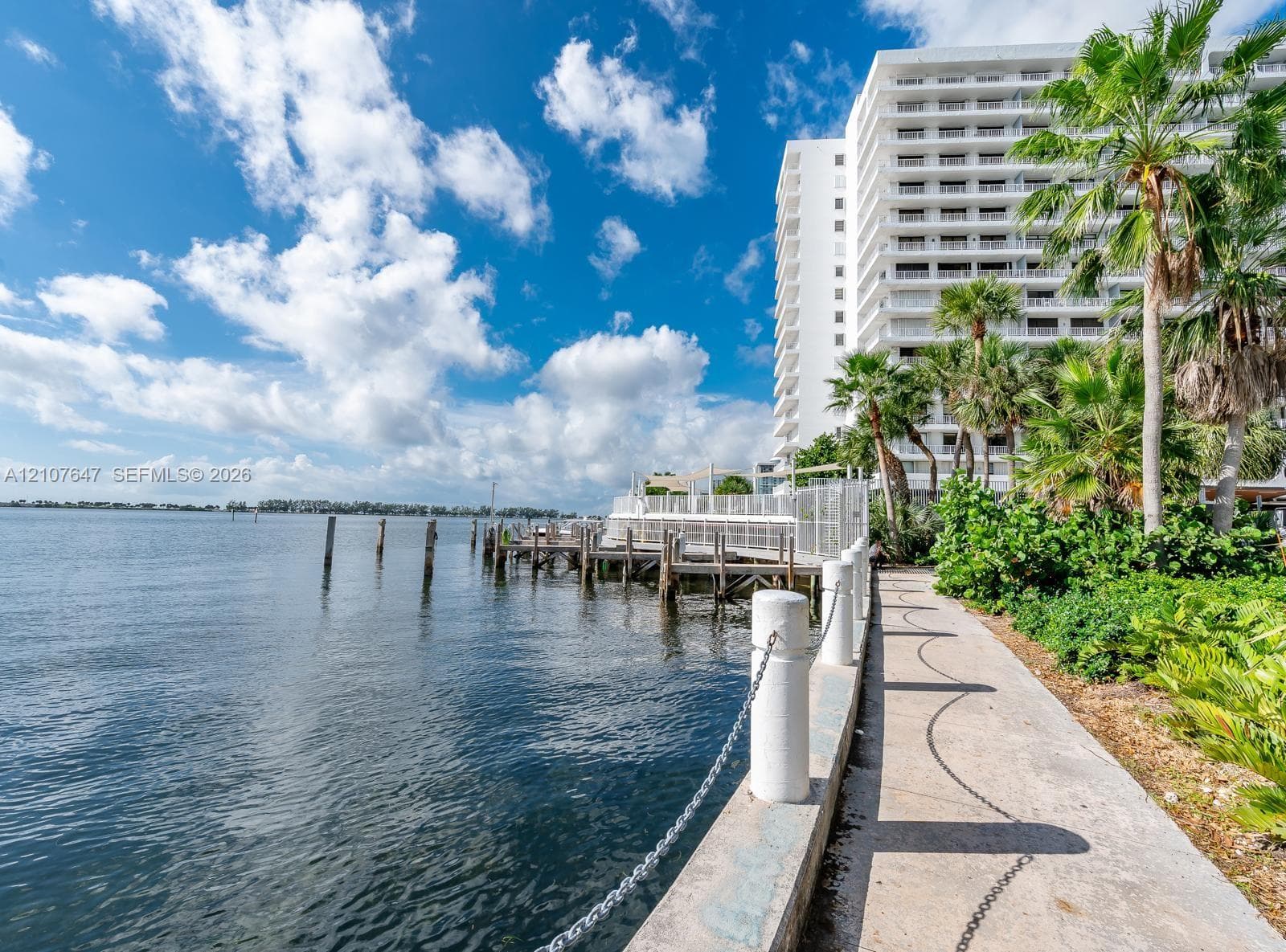 Waterfront concrete walkway with chain-link fencing, structural boat dock, and mature palms bordering the shoreline
