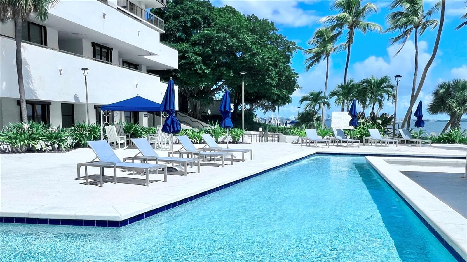 Swimming pool with a stone paver deck, surrounding palm trees, and structural lighting