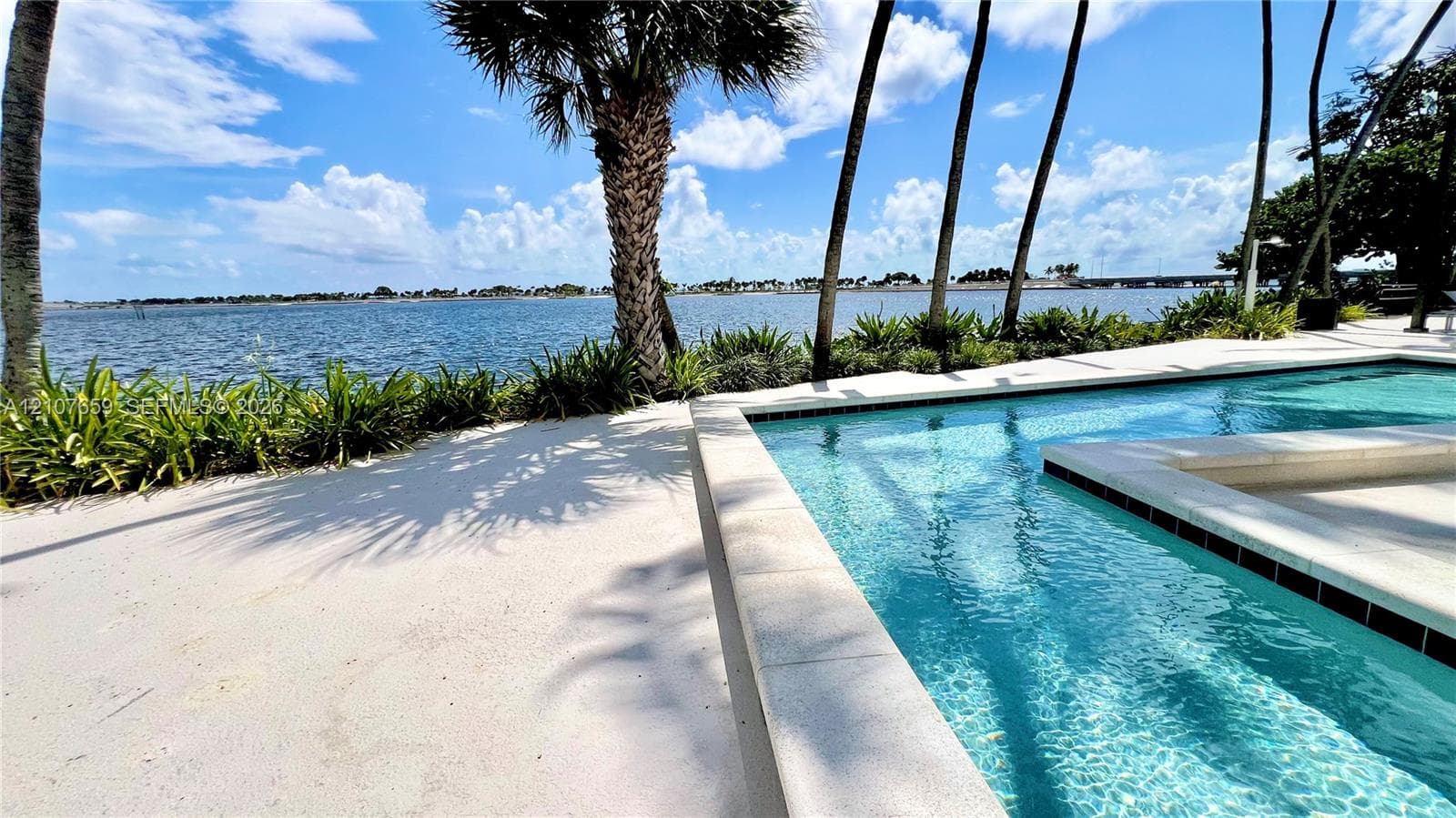 Waterfront swimming pool with a stone deck, perimeter landscaping, and mature palm trees