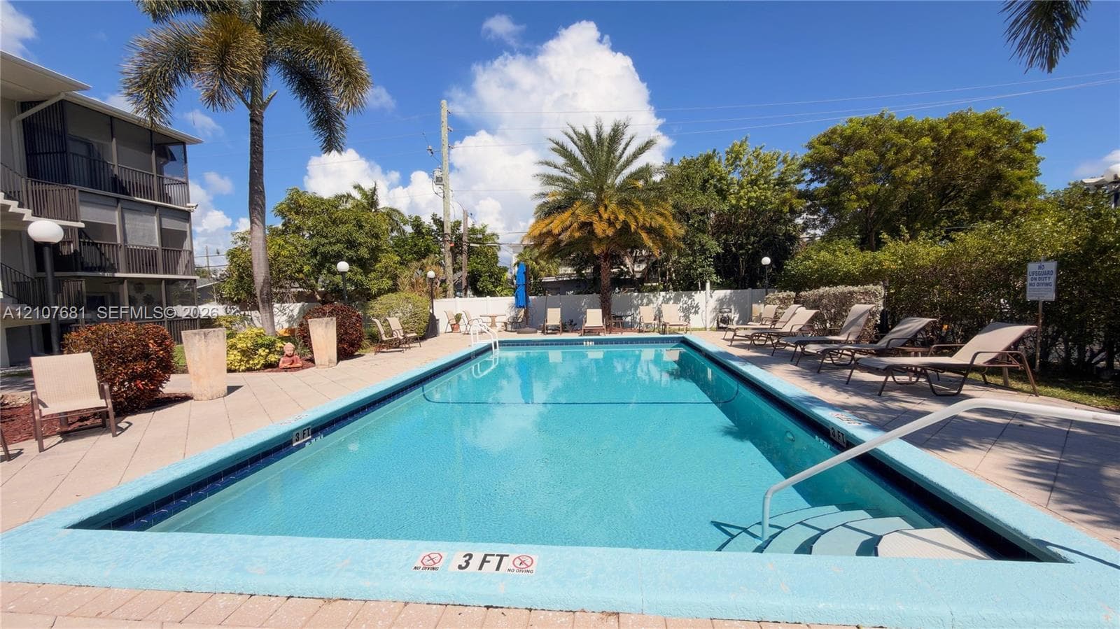 Rectangular swimming pool featuring a tiled waterline, perimeter coping, and built-in steps with a metal handrail, surrounded by a paved patio deck and mature palm trees