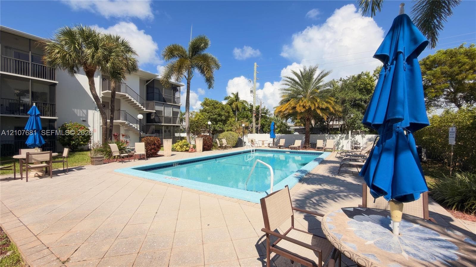 Rectangular in-ground pool with a surrounding paved deck, palm trees, and perimeter landscaping