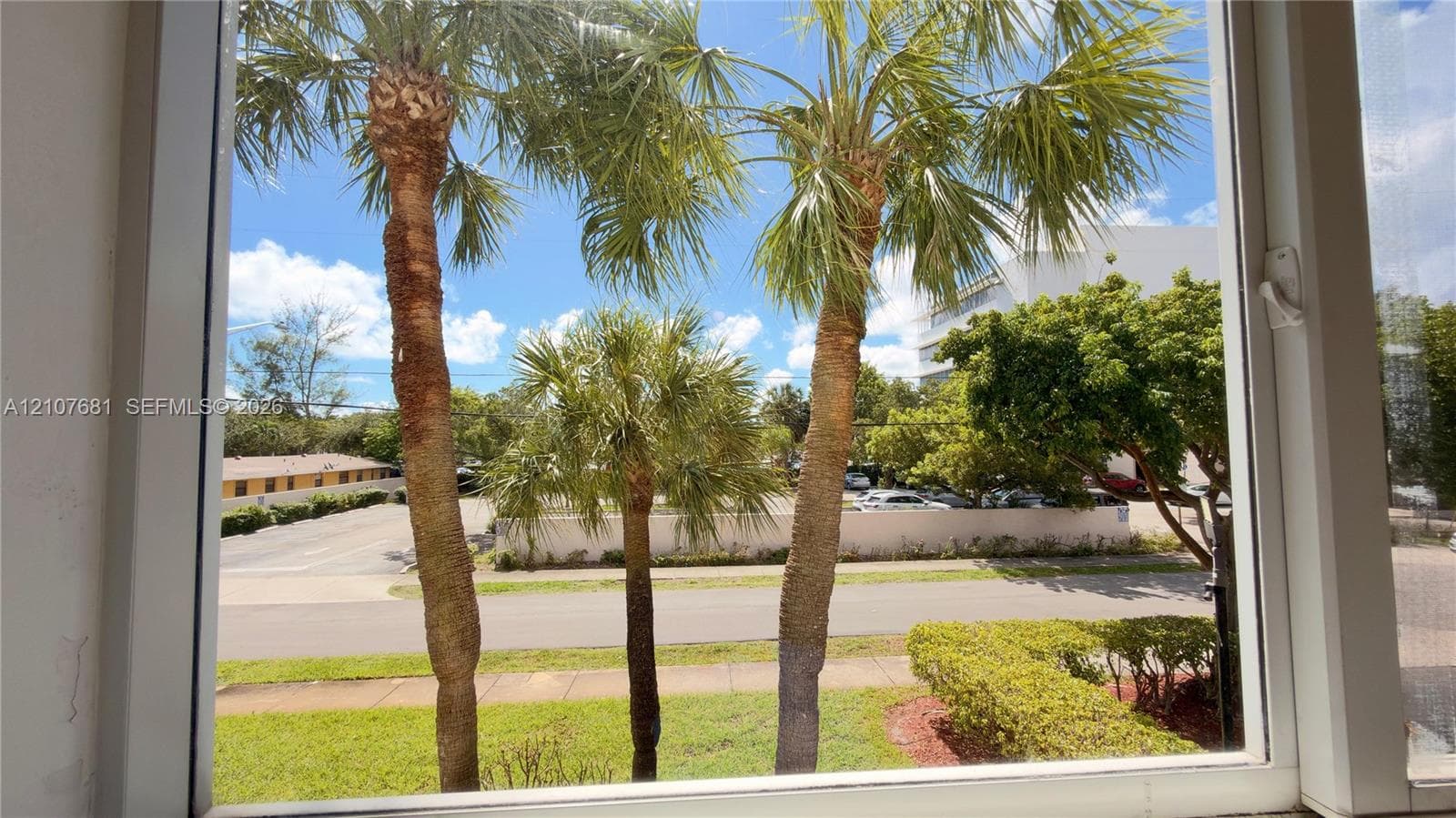 Double-pane window featuring a white frame and metal hardware with a sightline of palm trees, manicured landscaping, and a sidewalk