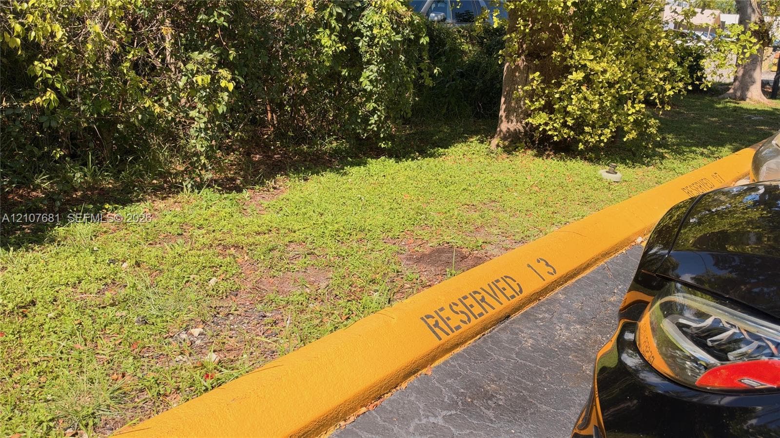 Designated parking space with asphalt surface and yellow-painted concrete curbing