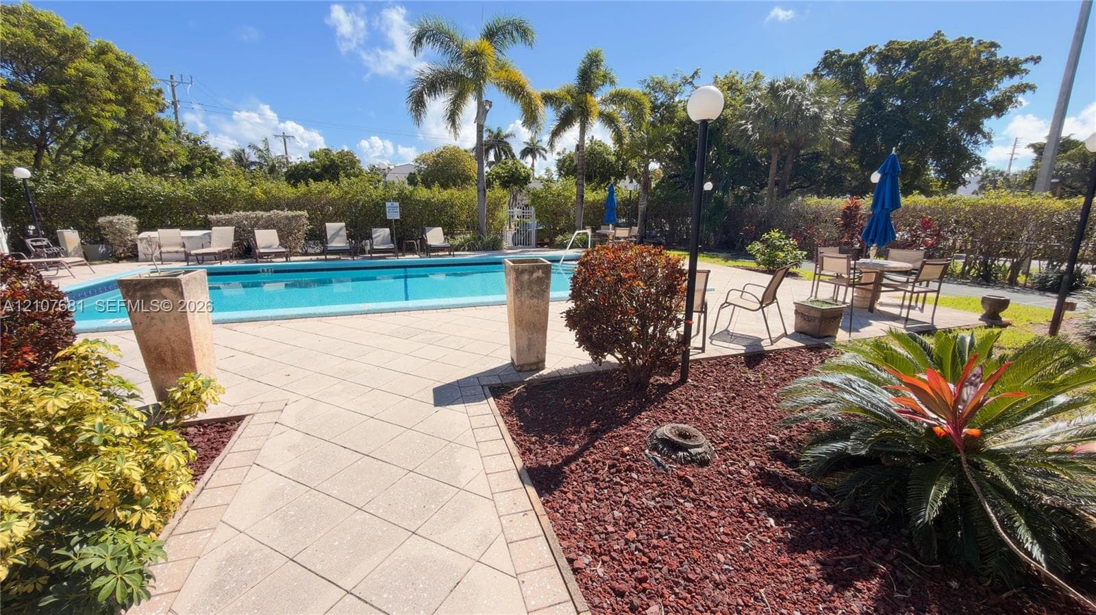 Swimming pool featuring a paved deck, perimeter hedge landscaping, mature palm trees, and elevated stone planters