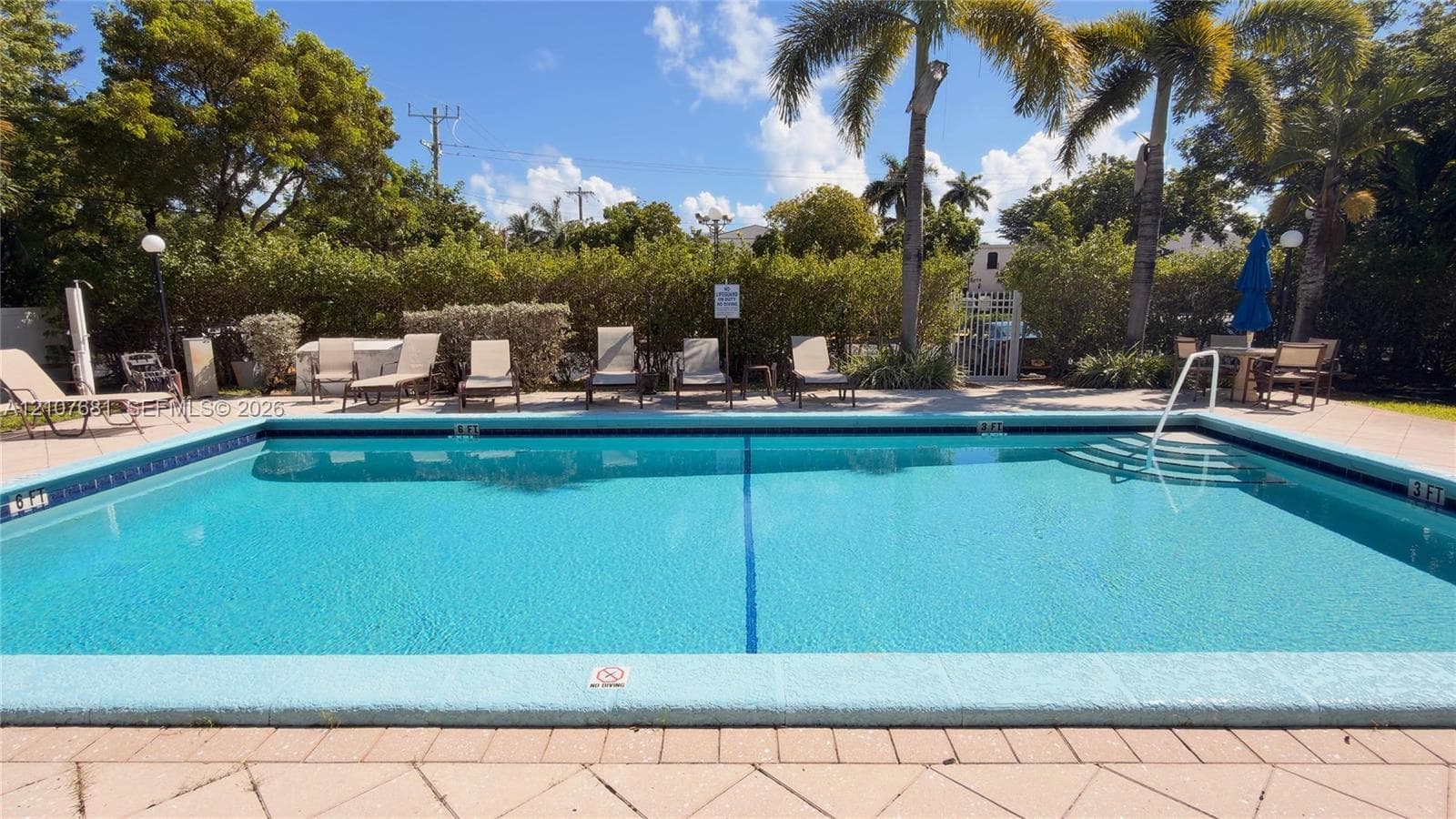 In-ground swimming pool with a paved deck, perimeter hedging, and mature palm trees