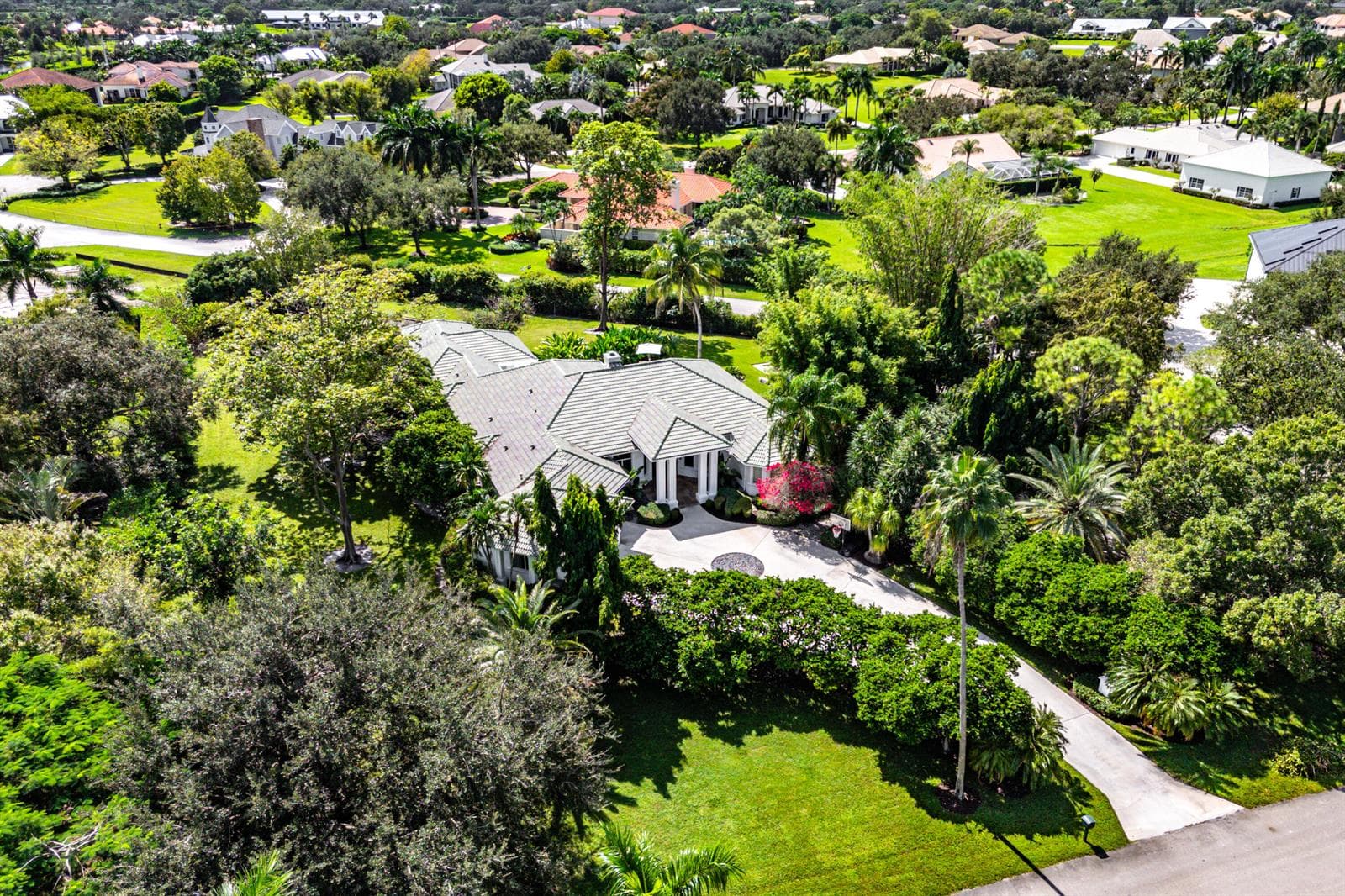 082-15390TakeOffPlace-Wellington-FL-3341