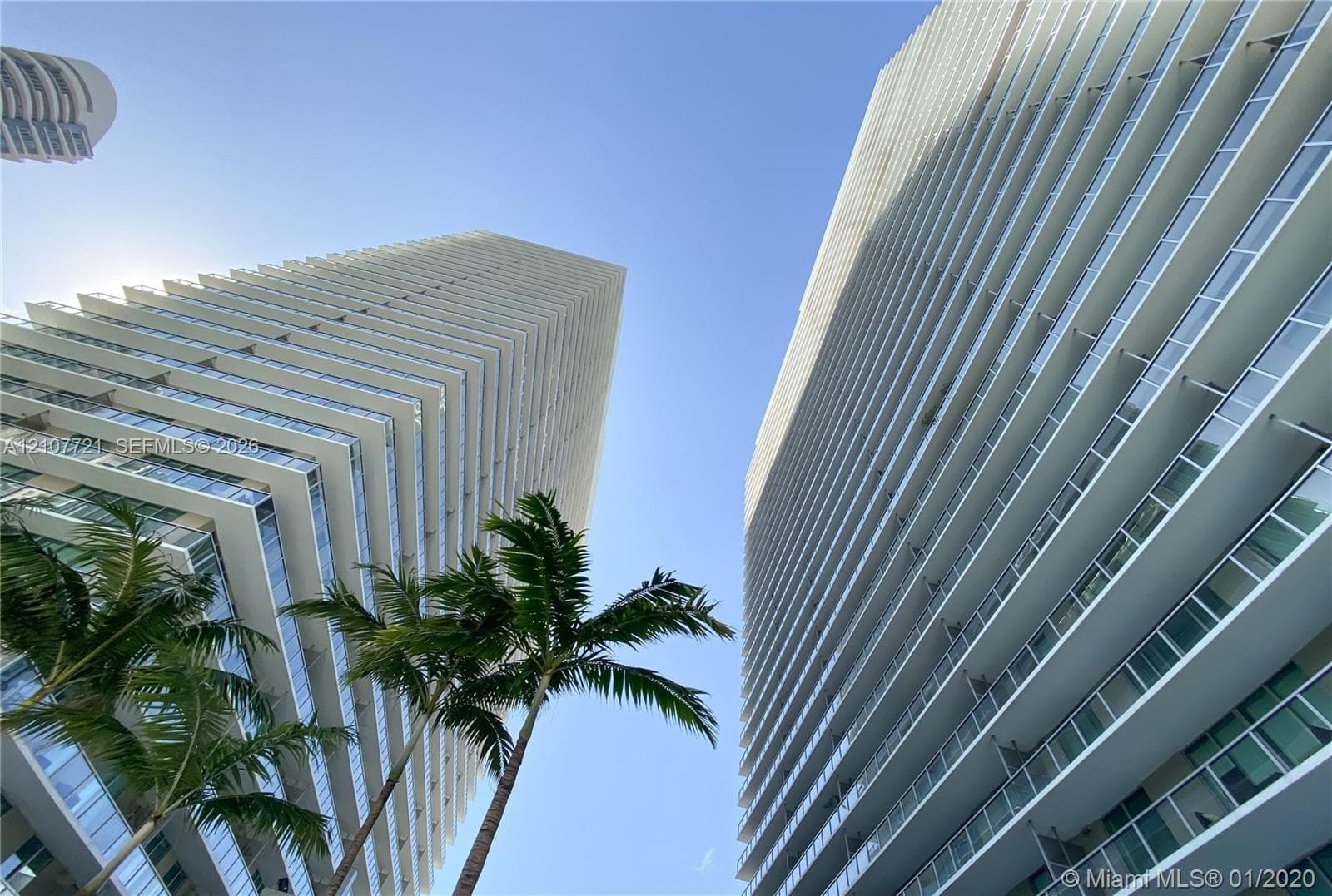 High-rise residential architecture featuring glass-railed balconies and floor-to-ceiling windows, accented by mature palm trees